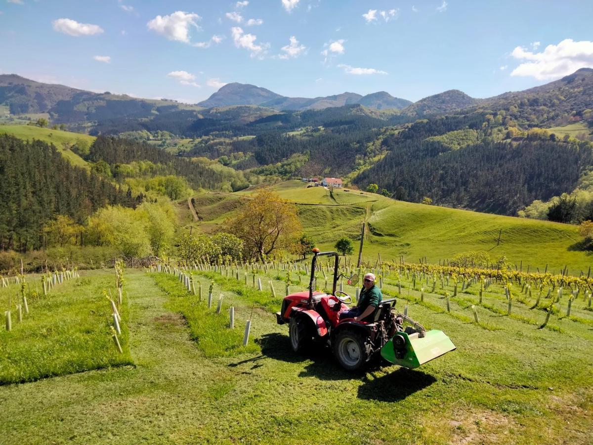 Agroturismo Erlete Goikoa -Estamos En El Camino De Santiago -We Are On The Camino De Santiago 데야 외부 사진