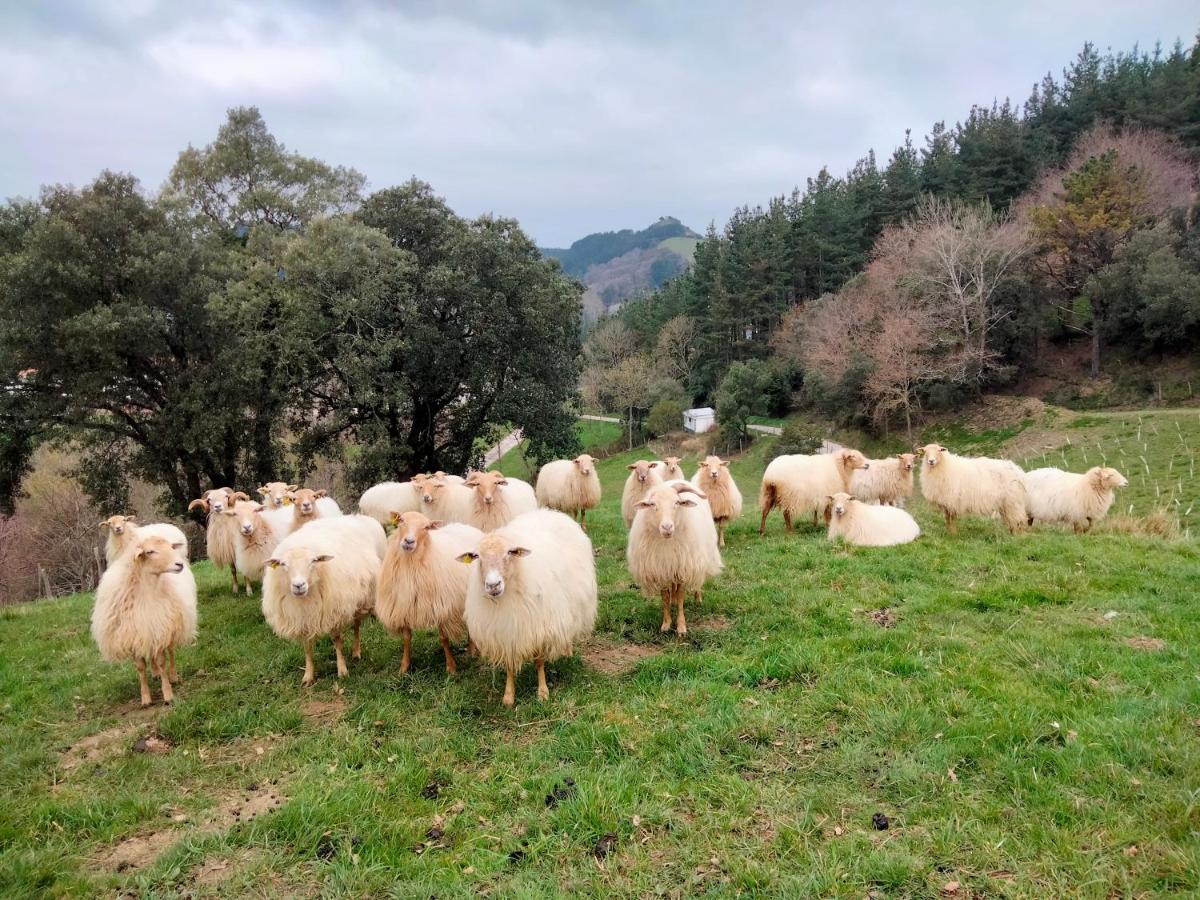 Agroturismo Erlete Goikoa -Estamos En El Camino De Santiago -We Are On The Camino De Santiago 데야 외부 사진