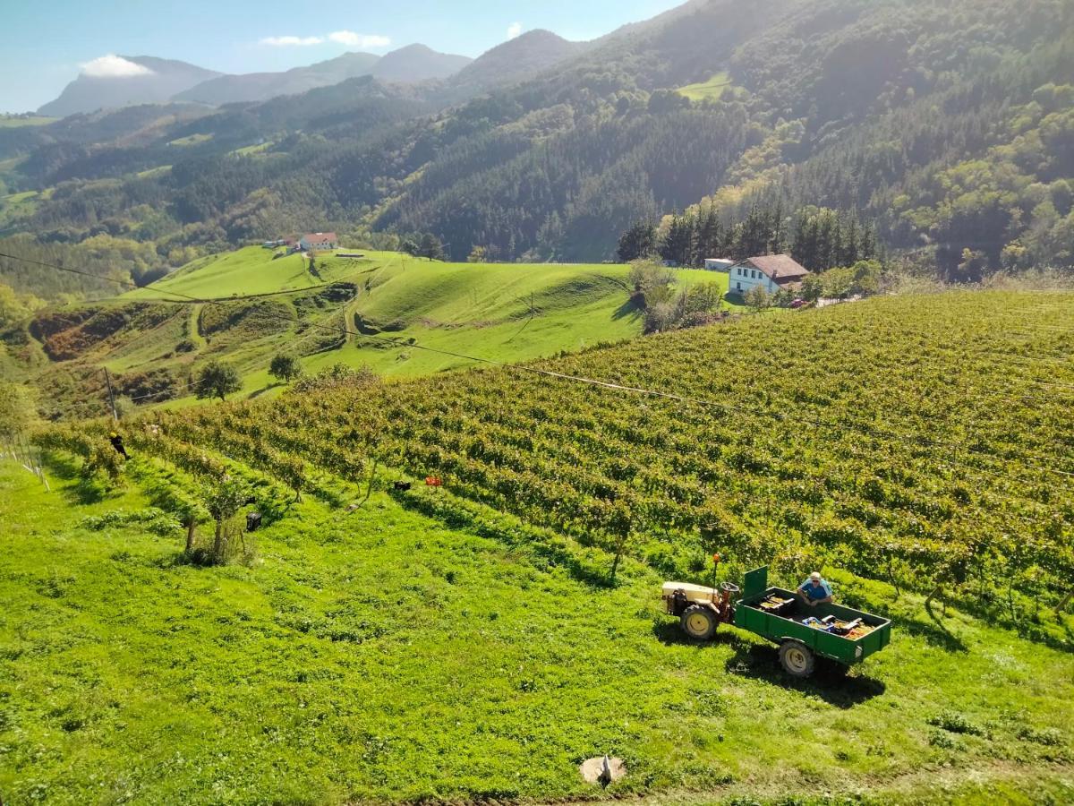 Agroturismo Erlete Goikoa -Estamos En El Camino De Santiago -We Are On The Camino De Santiago 데야 외부 사진