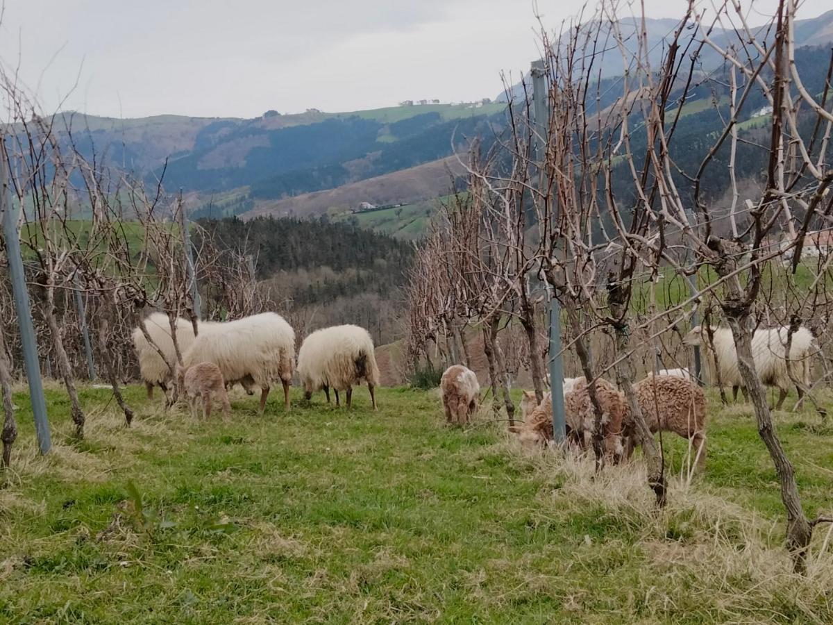 Agroturismo Erlete Goikoa -Estamos En El Camino De Santiago -We Are On The Camino De Santiago 데야 외부 사진