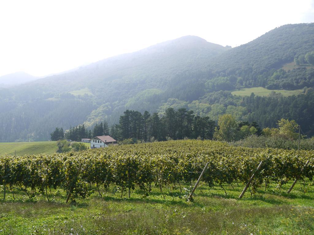 Agroturismo Erlete Goikoa -Estamos En El Camino De Santiago -We Are On The Camino De Santiago 데야 외부 사진