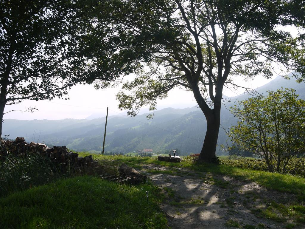 Agroturismo Erlete Goikoa -Estamos En El Camino De Santiago -We Are On The Camino De Santiago 데야 외부 사진