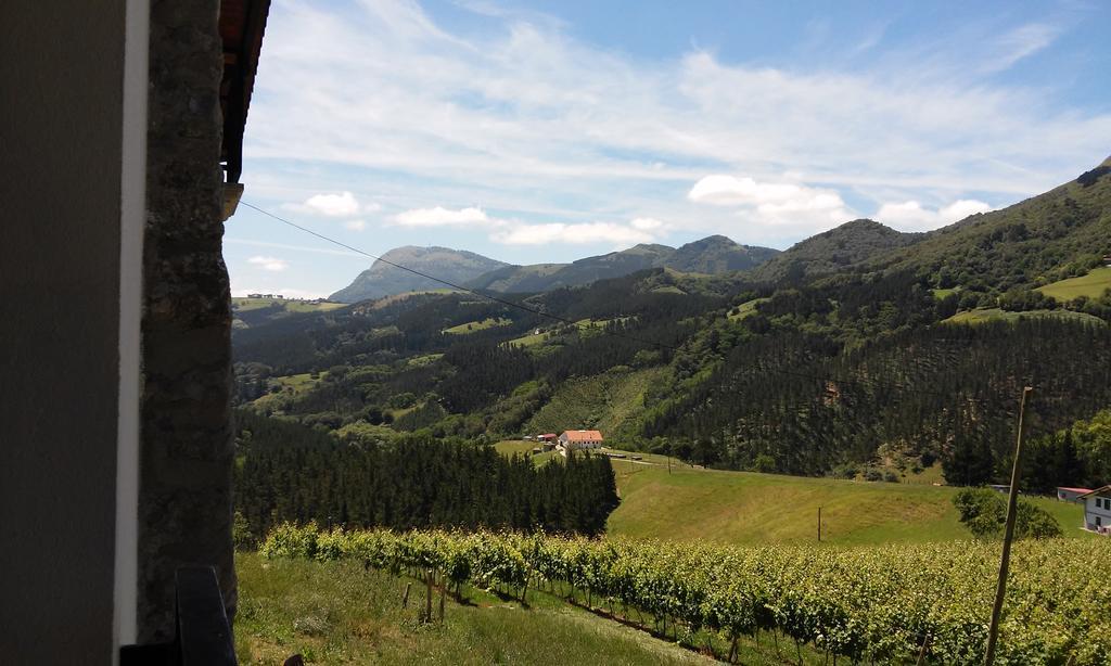 Agroturismo Erlete Goikoa -Estamos En El Camino De Santiago -We Are On The Camino De Santiago 데야 외부 사진