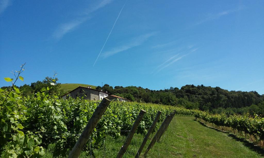 Agroturismo Erlete Goikoa -Estamos En El Camino De Santiago -We Are On The Camino De Santiago 데야 외부 사진