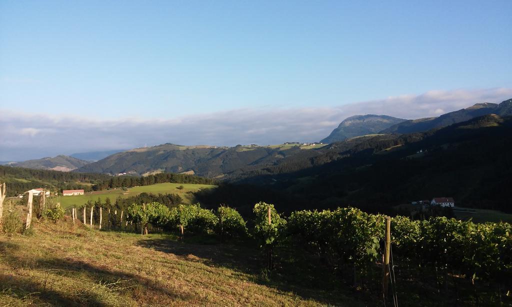 Agroturismo Erlete Goikoa -Estamos En El Camino De Santiago -We Are On The Camino De Santiago 데야 외부 사진