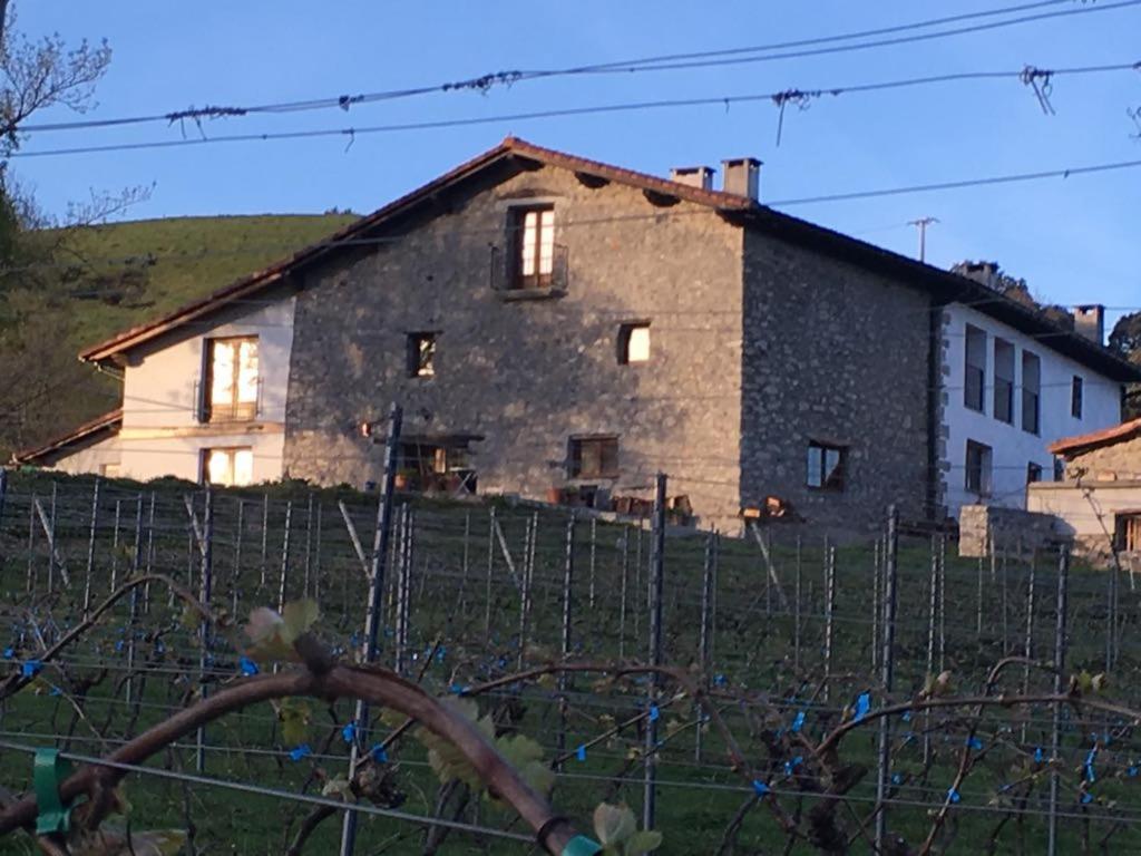 Agroturismo Erlete Goikoa -Estamos En El Camino De Santiago -We Are On The Camino De Santiago 데야 외부 사진