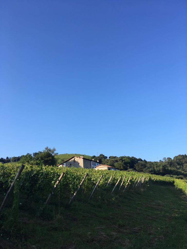 Agroturismo Erlete Goikoa -Estamos En El Camino De Santiago -We Are On The Camino De Santiago 데야 외부 사진