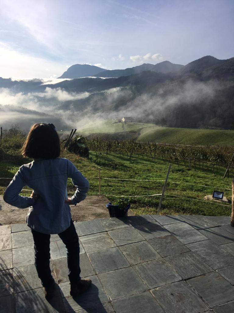 Agroturismo Erlete Goikoa -Estamos En El Camino De Santiago -We Are On The Camino De Santiago 데야 외부 사진