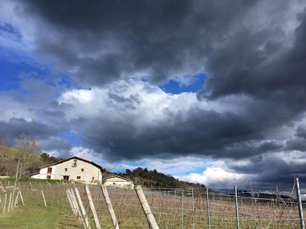 Agroturismo Erlete Goikoa -Estamos En El Camino De Santiago -We Are On The Camino De Santiago 데야 외부 사진